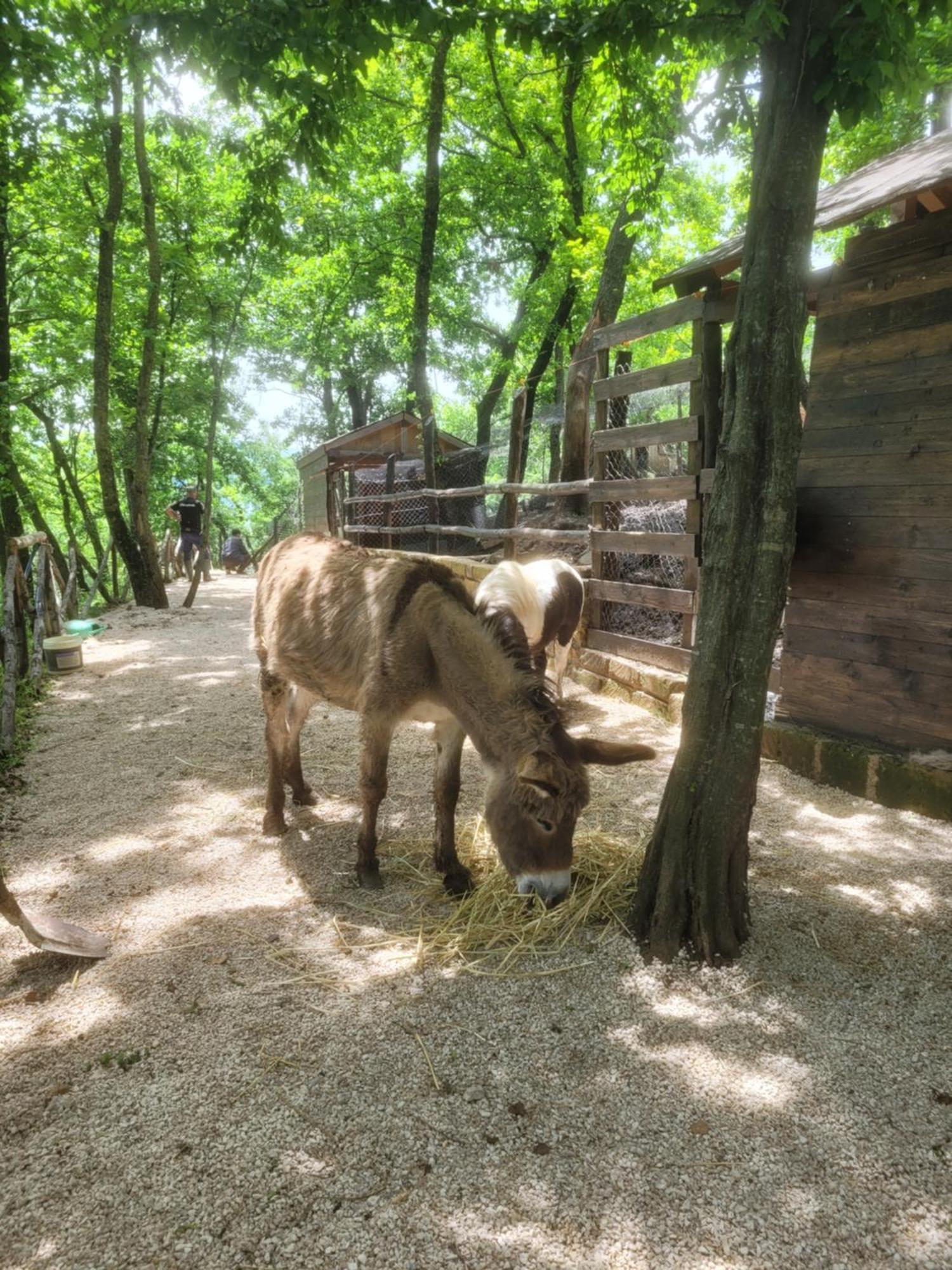 Tenuta Santo Stefano Azienda Agrituristica Santo Stefano del Sole Kültér fotó